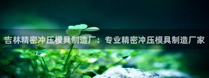 彩神是真的吗：吉林精密冲压模具制造厂：专业精密冲压模具制造厂家