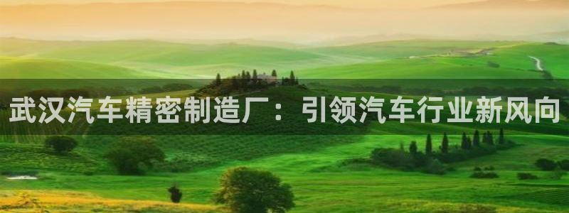 彩神vll购彩大厅大众：武汉汽车精密制造厂：引领汽车行业新风向