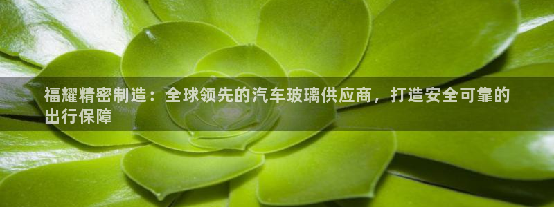 彩神天下专家专栏：福耀精密制造：全球领先的汽车玻璃供应商，打造安全可靠的
出行保障