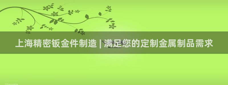 彩神可以提现吗：上海精密钣金件制造 | 满足您的定制金属制品需求