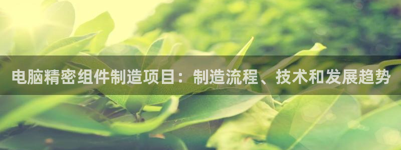 彩神平台注册登录：电脑精密组件制造项目：制造流程、技术和发展趋势