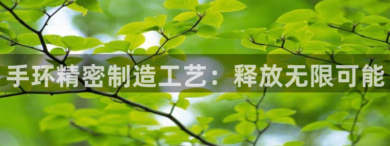 彩神v1破解器：手环精密制造工艺：释放无限可能