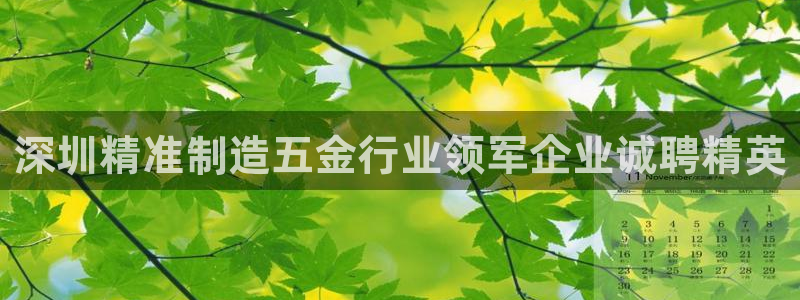 彩神v集团有限公司：深圳精准制造五金行业领军企业诚聘精英