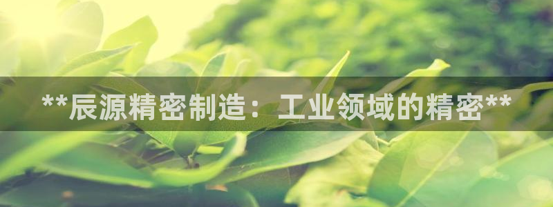 彩神官方登录：**辰源精密制造：工业领域的精密**